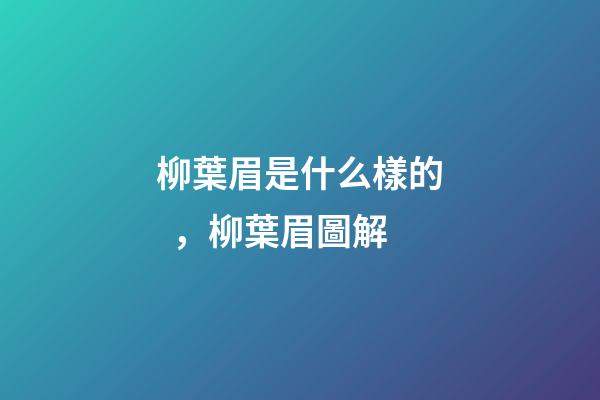 柳葉眉是什么樣的，柳葉眉圖解